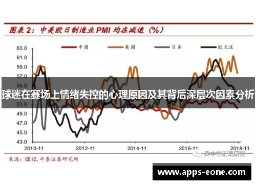 球迷在赛场上情绪失控的心理原因及其背后深层次因素分析