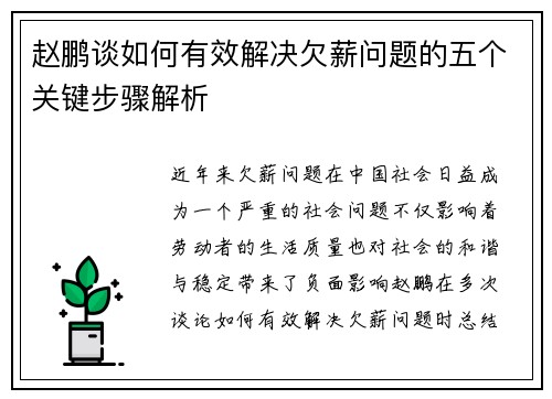 赵鹏谈如何有效解决欠薪问题的五个关键步骤解析