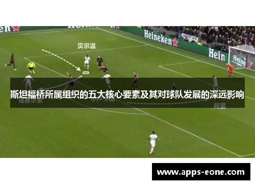斯坦福桥所属组织的五大核心要素及其对球队发展的深远影响
